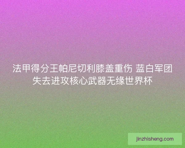 法甲得分王帕尼切利膝盖重伤 蓝白军团失去进攻核心武器无缘世界杯