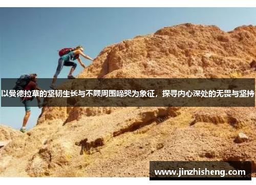 以曼德拉草的坚韧生长与不顾周围啼哭为象征，探寻内心深处的无畏与坚持