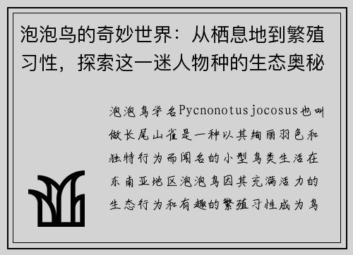 泡泡鸟的奇妙世界：从栖息地到繁殖习性，探索这一迷人物种的生态奥秘